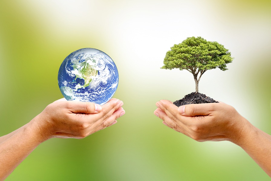 Imagen de unas manos sosteniendo el planeta tierra y otras un árbol. Imagen de unas manos sosteniendo el planeta tierra y otras un árbol.