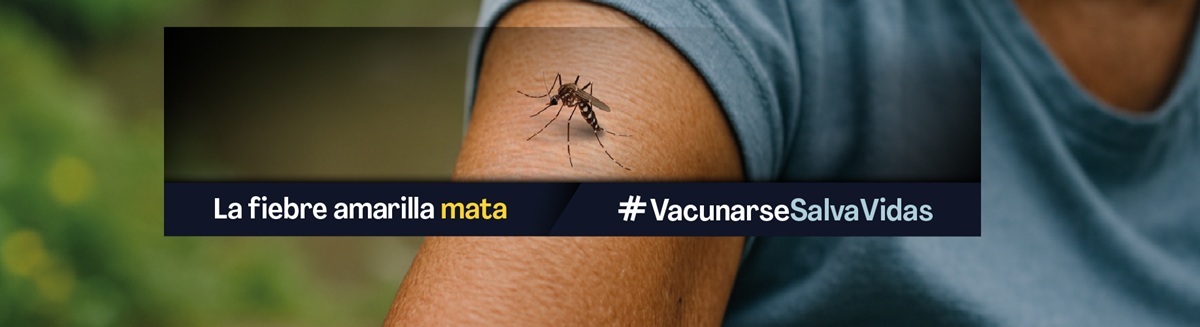 Vacunarse salva vidas