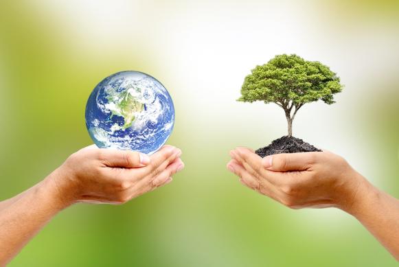 Imagen de unas manos sosteniendo el planeta tierra y otras un árbol. Imagen de unas manos sosteniendo el planeta tierra y otras un árbol.