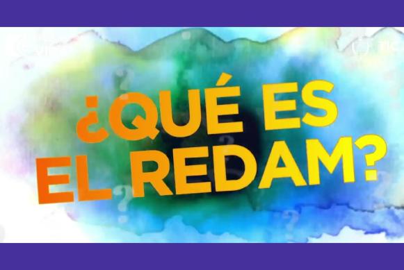 Imagen textual ¿Qué es el REDAM? con fondo difuminado.